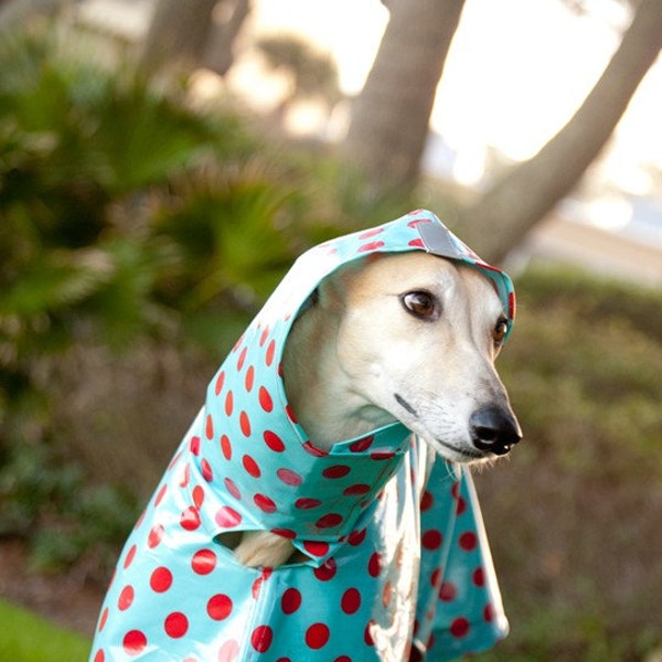 Dog Raincoat Slicker - Red Polka Dots on Turquoise