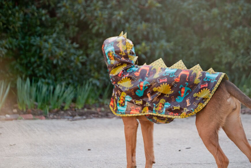 Dinosaur Dog Raincoat Waterproof Dog Coat Dog Raincoat With Etsy