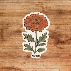 May include: A sticker featuring a marigold flower with orange petals and green leaves. The sticker has a white background and the word "Marigold" is printed below the flower.