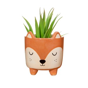 Könnte beinhalten: Ein Keramik-Pflanztopf in Form eines Fuchses mit einer grünen Sukkulente darin. Der Topf ist orange mit weißen Akzenten und hat ein süßes Gesicht mit geschlossenen Augen und einer kleinen Nase.