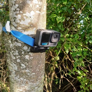 May include: A dark gray GoPro action camera mounted to a tree trunk with a bright blue nylon strap. The camera features a front-facing lens, a small display screen, and the GoPro logo printed in blue on the side of the rectangular housing.