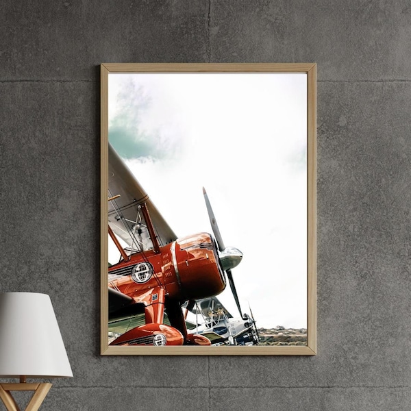 1930 vintage airplane   metallic fine art photograph