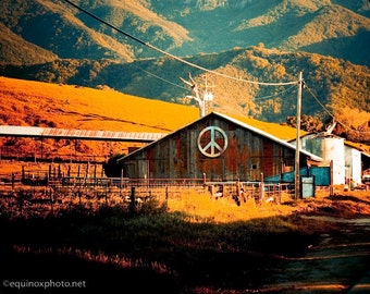 Peaceful Barn Photograph 16x20