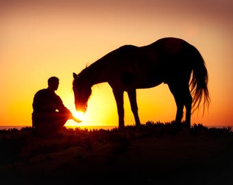 11 x14 fine art horse image metallic photo