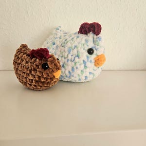 chickens
