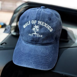 Gulf Of Mexico Stay Salty Resistance Embroidered Hat, Subtle Political Hat, Resist Cap, Not my president, Gift For Democrat, Anti Trump Gift