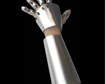 Gauntlet and Arm Cover set, both left and right hands