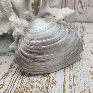 Coquillage de plage inspirant, cadeau de versets bibliques côtiers, cadeau d'encouragement aux chrétiens pour le rétablissement, une grande force vient de la foi en Dieu image 2