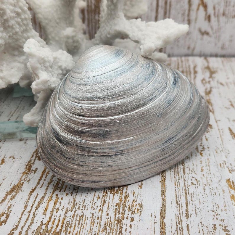 Coquillage de plage inspirant, cadeau de versets bibliques côtiers, cadeau d'encouragement aux chrétiens pour le rétablissement, une grande force vient de la foi en Dieu image 2