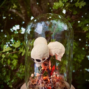 Horror skull totem terrarium - Orange lights. Horror decor