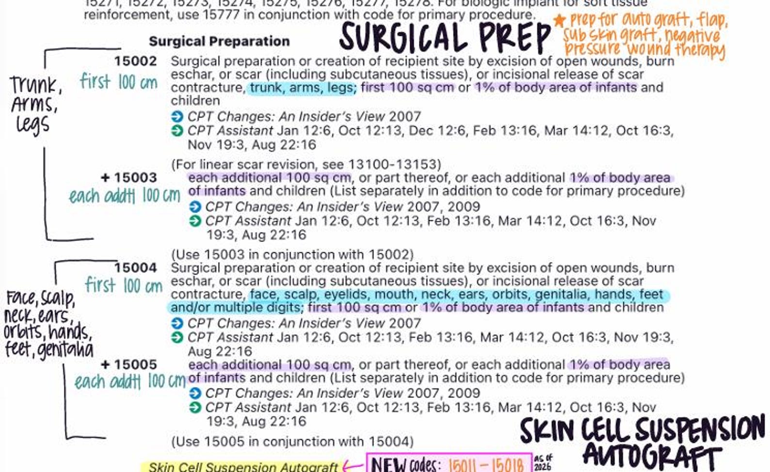 2026 CPT | INTEGUMENTARY System Book Notes (2026) - Etsy
