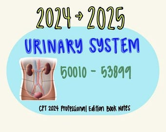 以下が含まれることがあります： 「2024 -> 2025 URINARY SYSTEM 50010 - 53899 CPT 2024 Professional Edition Book Notes」というテキストが書かれた、青と白のヒトの泌尿器系のイラスト