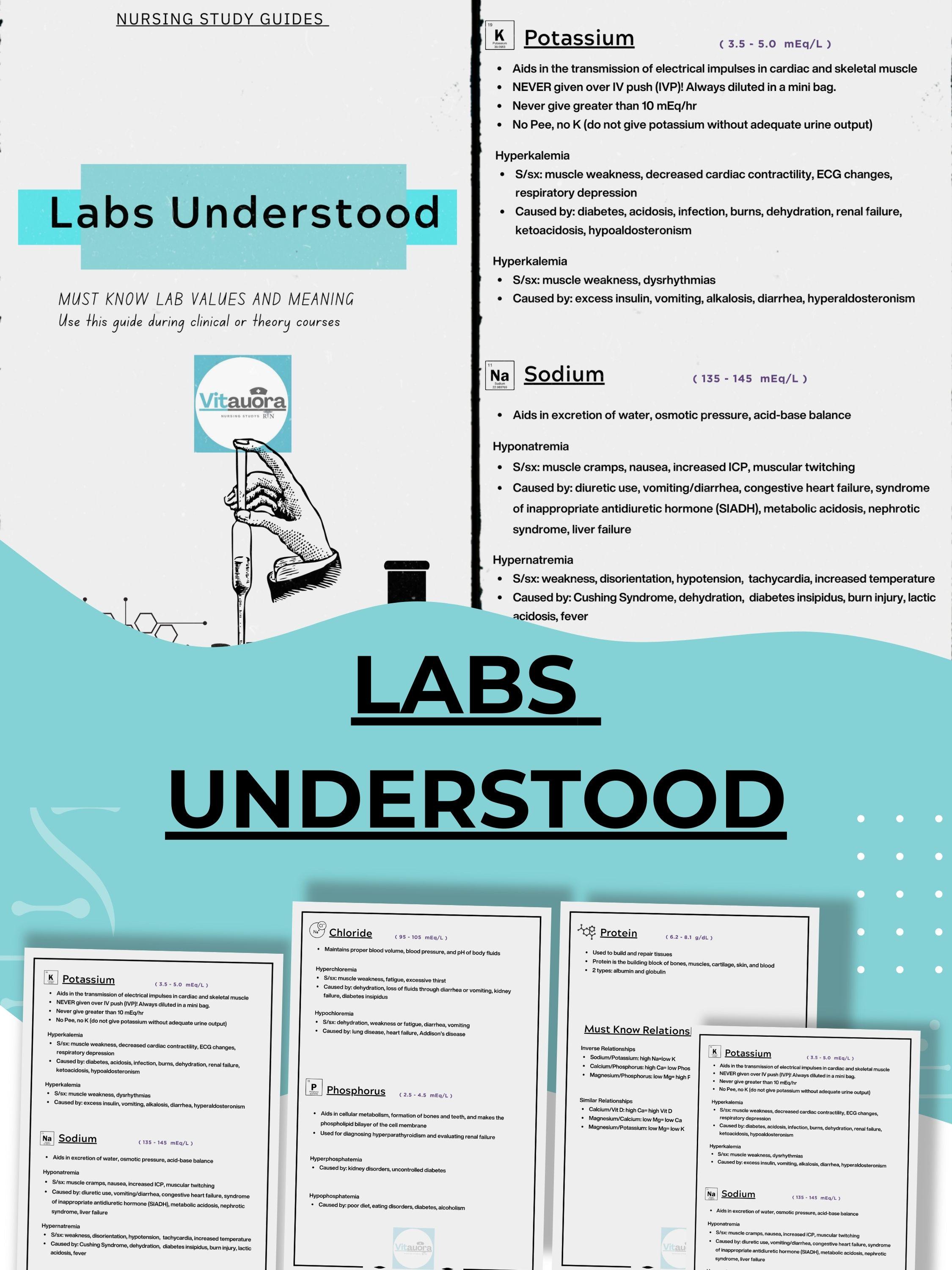 Nursing Lab Values Quick Reference Guide: Study & Clinical (PDF Pattern ...