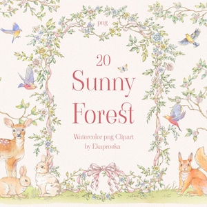 Sunny Forest 20 PNG vintage clipart illustrations, bordures florales, oiseaux, lapin, papillon, branches, animaux aquarelles, invitation d'anniversaire