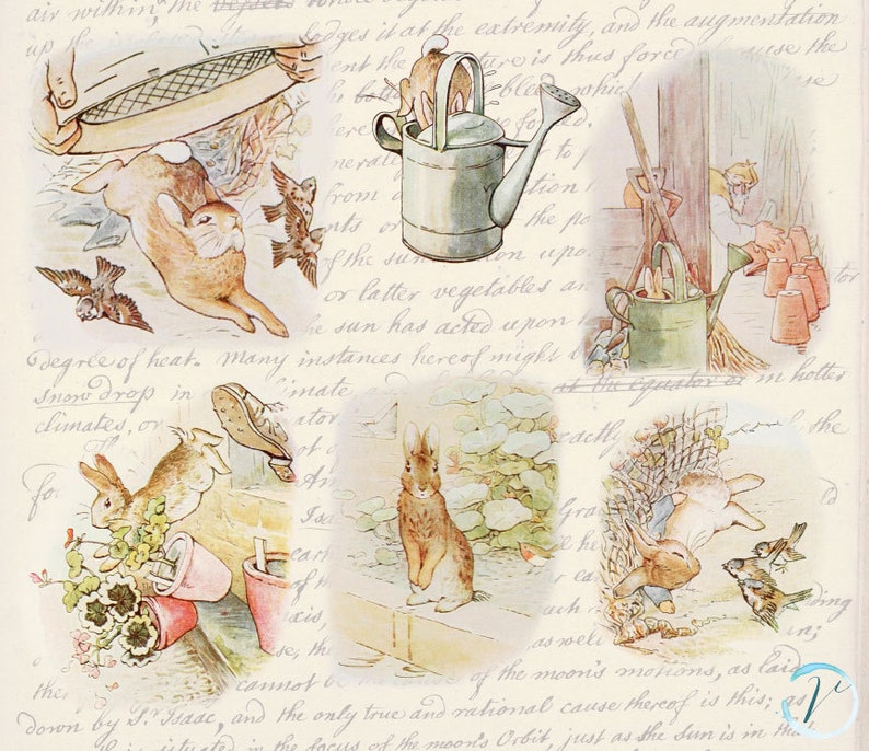 Vintage Clipart Beatrix Potter Peter Rabbit high resolution Digital Clip Art Set: Commercial and Personal Use. image 3