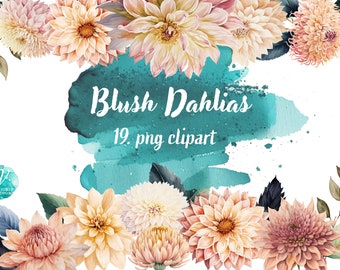 Watercolor Blush Dahlias - Digital Clipart Illustrations Instant Download, png Commercial Use