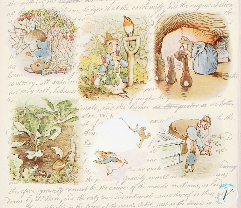 Vintage Clipart Beatrix Potter Peter Rabbit high resolution Digital Clip Art Set: Commercial and Personal Use. image 4
