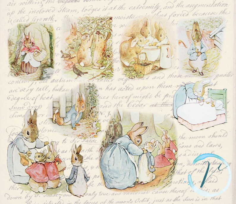 Vintage Clipart Beatrix Potter Peter Rabbit high resolution Digital Clip Art Set: Commercial and Personal Use. image 1