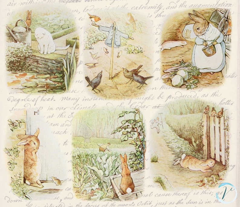 Vintage Clipart Beatrix Potter Peter Rabbit high resolution Digital Clip Art Set: Commercial and Personal Use. image 2