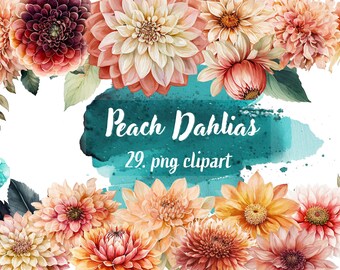 Watercolor Coral/Peach Dahlias - Digital Clipart Illustrations Instant Download, png Commercial Use