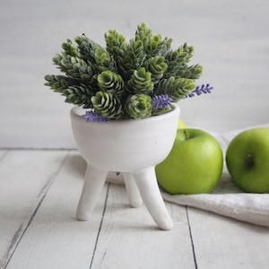 May include: A white ceramic planter with three legs, featuring a green succulent plant with purple flowers. The planter is sitting on a white surface with two green apples in the background.