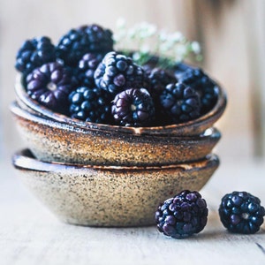 Prep Bowls - Set of Three Small Rustic Bowls - Brown and Black Raw Stone Ceramic Bowls - Handmade Stoneware Dipping Bowls - Specked Pottery