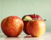 Food Photograph Fall Apples Autumn Fall Red Mint Still Life 20x30 Large Wall Art