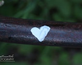 Inspirational Photograph Heart Branch Grass White Brown Green Black 20x30 Large Wall Decor