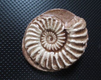 Light Choclate Brown Ceramic Ammonite Fossil Pin