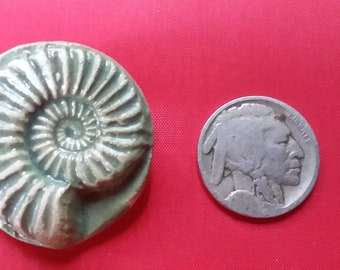 Ceramic Ammonite brooch pin for lapel hat jacket