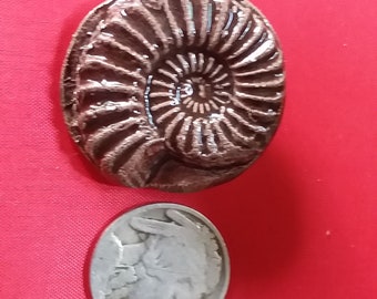 Spiral Ceramic Ammonite Pin