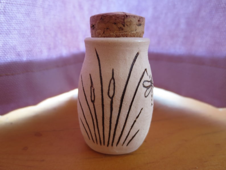 Desert Agave with dragonfly Porcelain Stash Jar Bottle image 1