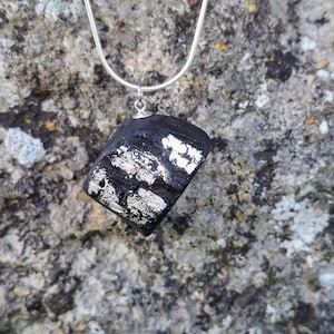 Lichen - Irish bog oak with fine silver leaf and sterling silver chain