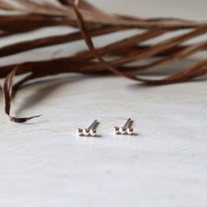 May include: A pair of silver stud earrings. Each earring features three small, round beads arranged in a linear design. The earrings are set against a light background with a blurred, brown, dried plant element.