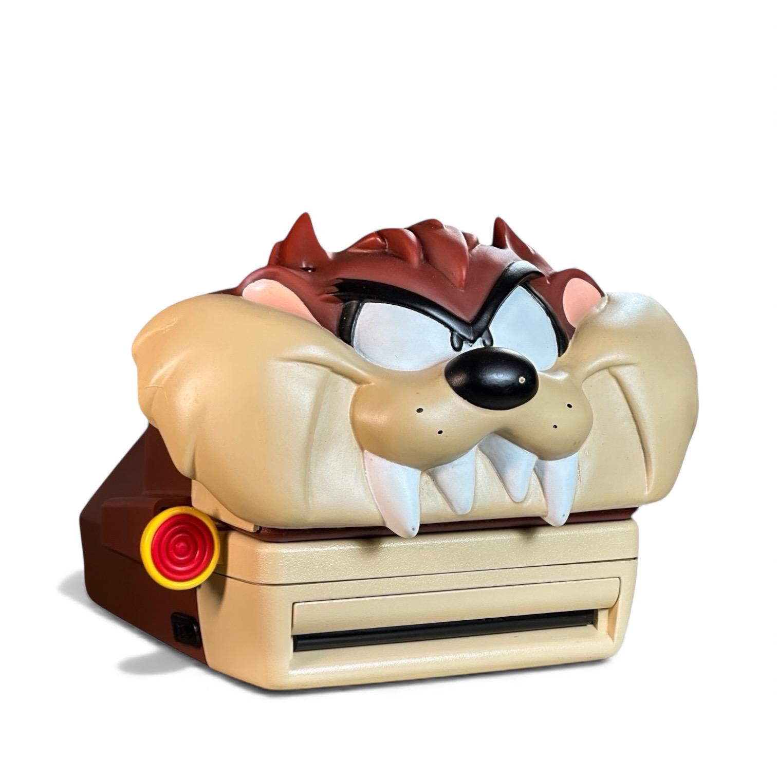 Polaroid Taz Camera - Etsy