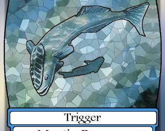 Forgetful Fish Custom Deck - Etsy