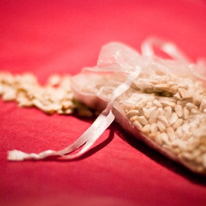 60 Wedding Favor Bird Seed Bags, Your Choice of Organza Bag Color image 5