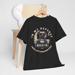 In My Defense T-Shirt, Funny Sarcastic Unisex Tee, Birthday Gift, Hilarious Men&#39;s or Women&#39;s Shirt, Unique Humor Apparel - Cotton Tee, Funny