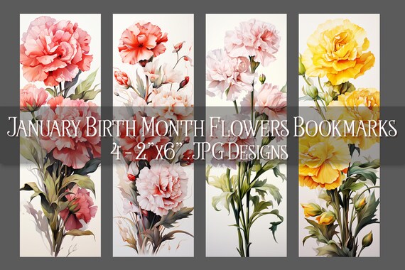 January Bookmark, Carnation Printable Bookmark, Winter Bookmark, Printable, Floral Bookmark, Sublimation, January Birthday Gift Idea