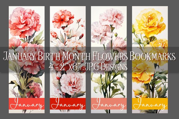 January Bookmark, Carnation Printable Bookmark, Winter Bookmark, Printable, Floral Bookmark, Sublimation, January Birthday Gift Idea