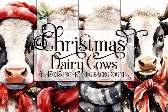 Christmas Dairy Cow Watercolor 15x15 Backgrounds, Christmas Cow, Winter Cow Background, Black White Cow, Holiday Cow, Cow Backgrounds