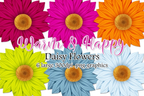 Daisy Flower Graphics | Warm & Happy Color Palette