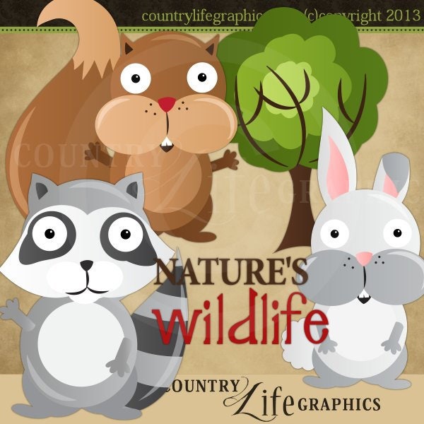 Nature's Wildlife Collection, Squirrel, Raccoon, Bunny, Animal Graphics - Country Life Graphics