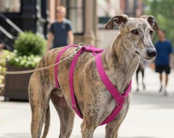 Drievoudig hondentuig fuxiaroze voor windhond. Handgemaakt met waterdichte stof. Cadeau voor dierenliefhebbers. Verstelbaar voor whippet - HolaGALGO