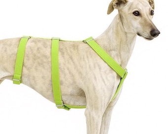 Drievoudig hondentuig limoengroen voor windhond. Handgemaakt met waterdichte stof. Cadeau voor dierenliefhebbers. Verstelbaar voor whippet - HolaGALGO
