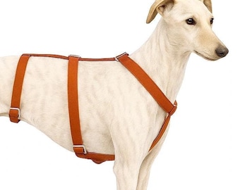 Drievoudig hondentuig terracotta voor windhond. Handgemaakt met waterdichte stof. Cadeau voor dierenliefhebbers. Verstelbaar voor whippet - HolaGALGO