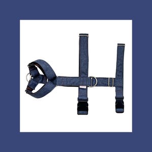 Peut inclure: Un harnais pour chien en denim bleu avec des accessoires argentés et une boucle noire. Le harnais a une sangle de poitrine et une sangle dorsale qui se connectent à un anneau à l'arrière.