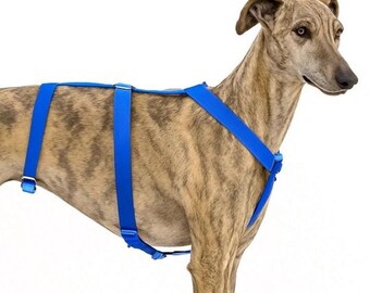 Pettorina antifuga per cani – Pettorina antiscivolo a 3 punti fatta a mano – Design di colore blu elettrico – Vestibilità personalizzata per cani nervosi o da salvataggio
