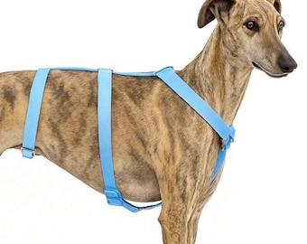 Pettorina antifuga per cani – Pettorina antiscivolo a 3 punti fatta a mano – Design color cielo blu – Adatta su misura per cani nervosi o da salvataggio