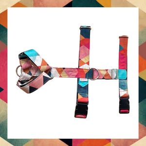 Arnés impermeable abstracto para perros: antitirones para galgos, whippets y galgos italianos.